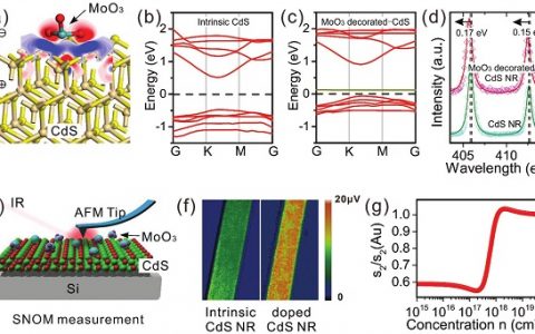 Adv. Funct. Mater.：通过表面电荷转移掺杂硫化镉纳米带构筑超宽可调功率的阻变存储器