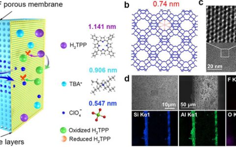 南开大学陈军院士Angew. Chem. Int. Ed.：基于卟啉的对称氧化还原液流电池用于冷气候储能