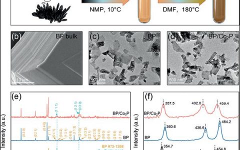 中科院深圳先进研究院喻学锋Angew. Chem. Int. Ed.: 平面黑磷/二磷酸盐异质结构的高效电催化