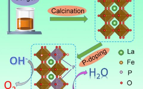 Nano Energy：调控磷掺杂LaFeO3-δ钙钛矿作为在碱性溶液中高效耐久的双功能电催化剂