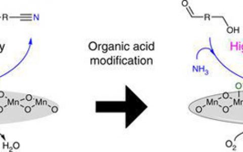 Nat. Commun.：用于可选择调节的好氧氨氧化的羧酸改性金属氧化物催化剂