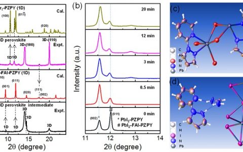 暨南大学麦耀华团队Adv. Energy Mater.：具有热力学自修复功能的1D-3D钙钛矿太阳电池