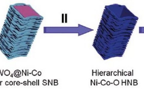 Energy. Environ. Sci.: 定向纳米片组装分层Ni-Co-P空心纳米砖结构用于高效全解水