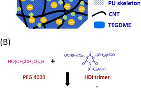华中HTH官网地址
大学Nano Energy：基于电子/离子双传导凝胶颗粒结构的高容量和长寿命锂氧气电池正极