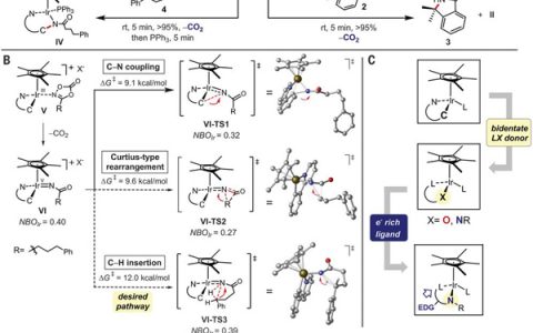 今日Science：通过设计的铱催化剂使C-H酰胺化选择性形成γ-内酰胺