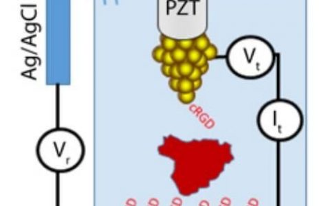 【IOP专栏】亚利桑那州立大学张斌田Nano Futures：蛋白质分子中观察到大电导波动现象