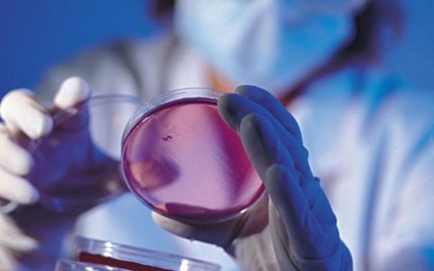 干货：高分子领域常用的分析手段梳理