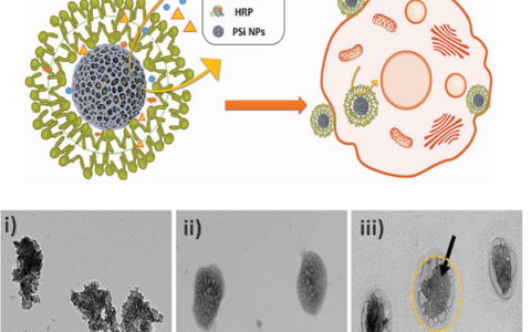 梳理：过去一年智能仿生材料领域重大突破研究