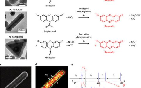 Nat. Chem. ：单纳米催化剂内部和之间的协同效应