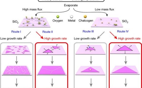 今日Nature：厉害！一招把2D金属硫化物合遍了元素周期表