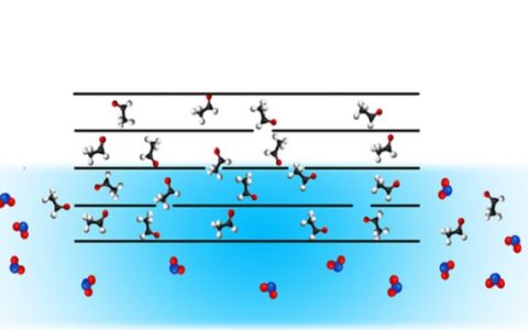 Advanced Functional Materials:分子扩散可驱动石墨烯膜运动