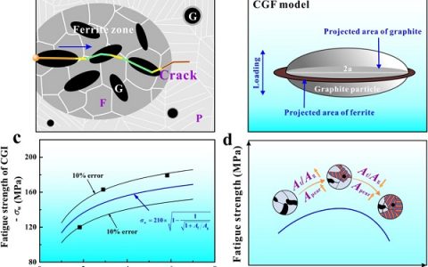 Mater. Sci. Eng. A：基于微观组织和损伤机制的蠕墨铸铁的疲劳强度模型