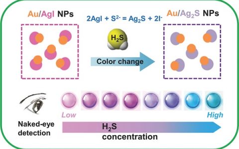 中国石油大学（华东）&加州大学河滨分校  Adv. Funct. Mater.：Au / AgI二聚体纳米粒子用于硫化氢的高特异性可视化检测