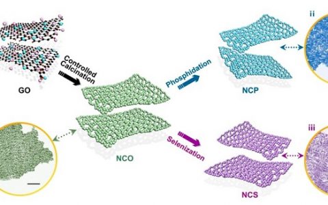 JACS：0 V初始过电势！Ni-Co-A (A = P, Se, O)多孔纳米片高效析氢