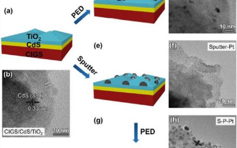 天津大学Energ. Environ. Sci：可控性助剂负载与界面钝化助力CIGS光电阴极实现高效太阳能-氢能转化