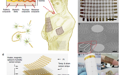 梳理：全球柔性可穿戴电子研究团队及其研究进展