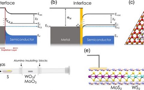 Nano Lett.：通过六方氮化硼隧穿触头介导的2D异质结构中的本征输运