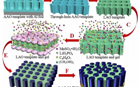 ACS Appl. Mater. Interfaces：三维蜂窝状结构磷酸锰锂用于锂离子电池正极