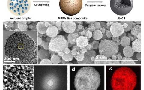 Nano Lett.：通过调控碳材料的化学环境获得具有“高压、高能、高功、高寿命”的新型全碳锂离子电容器