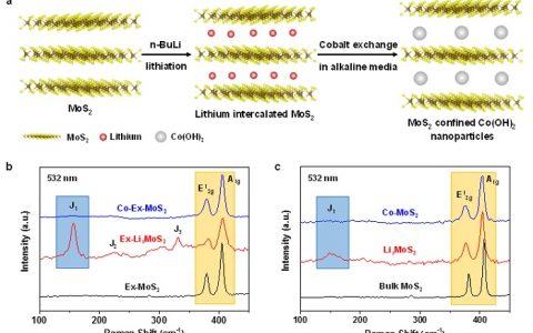 清华-伯克利深圳学院（TBSI）刘碧录ACS Nano：二维二硫化钼层间限域碱性电解水产氢催化剂