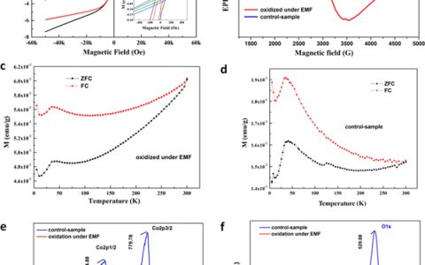 武汉理工大学Nano Lett.：基于NaO2纳米线放电产物的高性能Na-O2电池