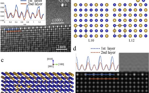 美国纽约州立大学Acta Mater.：Cu（Au）合金表面偏析引起的有序-无序转变