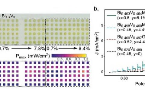 Energy Environ. Sci.：合金化降低单斜畸变改善钒酸铋光阳极