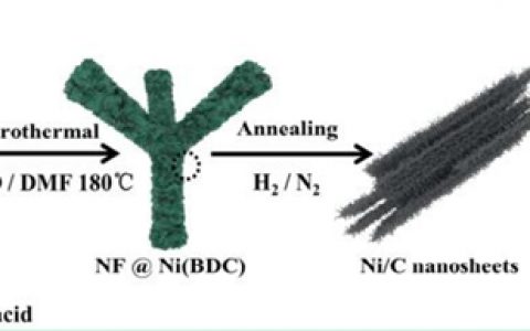 苏州大学Energ. Environ. Sci.：金属有机框架为模板制备多级结构Ni-C复合材料及其高效水分解