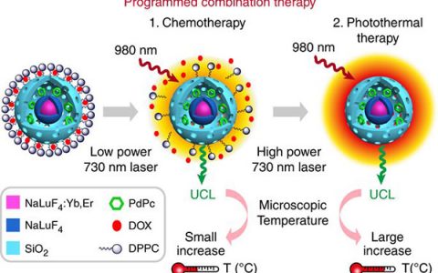 复旦大学Nat. Commun.：上转换纳米复合材料通过精确控制微观温度来编程组合癌症治疗