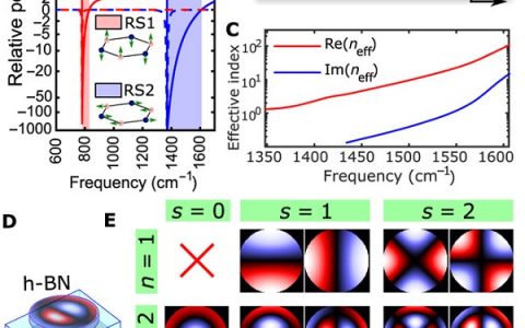 Science Advances：范德华纳米结构中的超受限中红外共振声子极化子