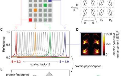 Science头条：用于分子检测的超表面技术
