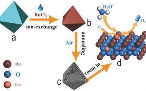 中科院宁波所AM： 高度稳定的超小型纳米晶组成的Cu掺杂RuO2中空多孔多面体电催化剂氧析出反应