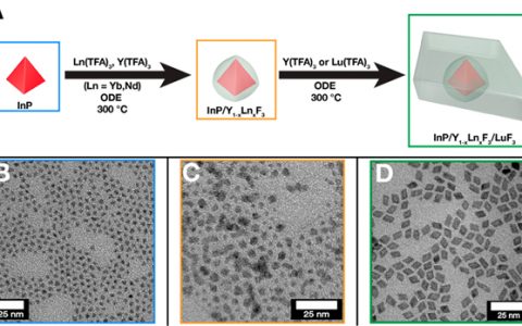 加利福尼亚大学伯克利分校 JACS：铟磷化物量子点对镧系元素发射进行宽带敏化及其可见近红外降频