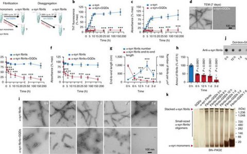 Nat. Nanotechnol.：石墨烯量子点预防帕金森的α-共核蛋白病