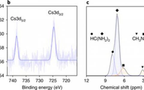 Nature. Energy.: 提高钙钛矿电池稳定性的新策略—引入等价小离子抑制原子空位