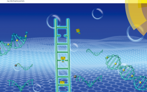 中国农业大学罗云波&许文涛团队ChemCommun内封面文章：基于核酸纳米阶梯和氧化石墨烯的Hg2+非酶恒温快速检测技术