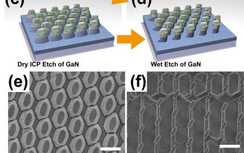 ACS Nano: 用纳米球透镜光刻法制备的偏振选择III族氮化物椭圆纳米棒发光二极管