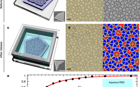 Nature: 新突破—— 一种新方法制备Penrose结构单层准晶体
