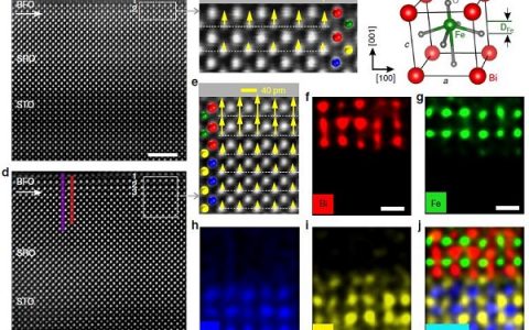 浙江大学&新加坡国立大学Nature子刊：二维限域内室温面外铁电和隧道电流变的直接观察