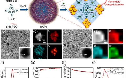 苏大刘庄等 ACS Nano:  纳米级配位聚合物递送和响应性释放非治疗性同位素实现高效放射性同位素疗法治疗癌症