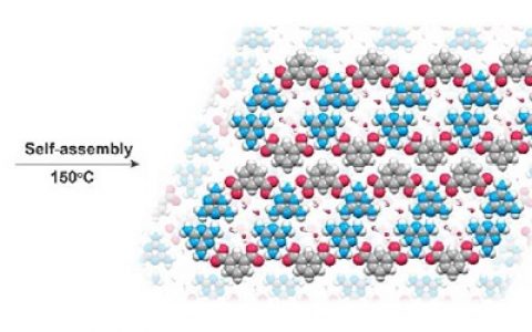 南工大黄维院士课题组J. Am. Chem. Soc.: 通过分子自组装增强超长有机磷光材料的发光效率和磷光寿命