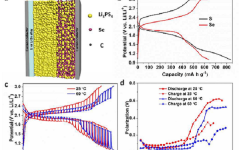 韦仕敦大学孙学良团队EES：硫化物电解质所诱导的高性能全固态Li-Se电池