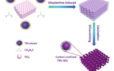 Adv. Energy Mater.: 反蛋白石结构碳包覆过渡金属硫化物量子点纳米复合材料用于高性能储钠