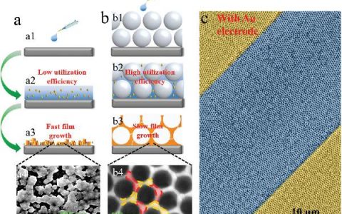Adv. Funct. Mater. : CsPbBr3薄膜限域生长及其在高性能光电探测器中的应用