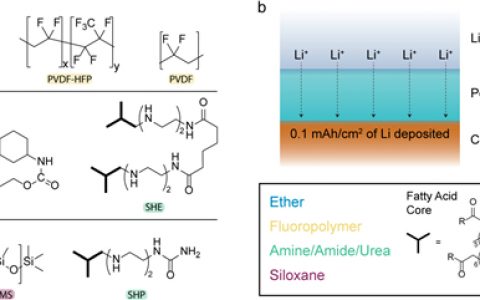 斯坦福大学JACS：聚合物涂层对电沉积锂金属的影响