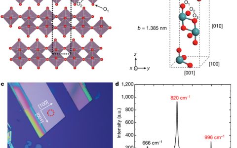 Nature：天然范德华晶体中的面内各向异性和超低损耗极化子
