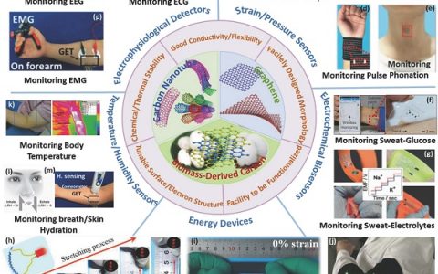 清华大学张莹莹AM: 一篇综述带你领略柔性可穿戴电子器件中碳材料的风采