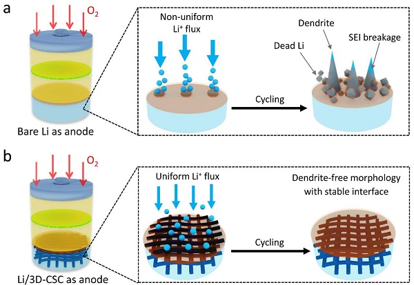 复旦大学彭慧胜Angew. Chem. Int. Ed：交错组装碳纳米管制备超高比容量锂金属负极用于锂氧电池