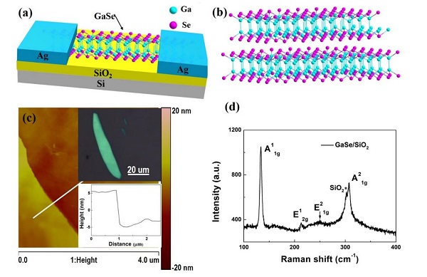 四川师范接文静&香港理工郝建华Nano Energy：基于二维层状硒化镓纳米片的三端子记忆晶体管用于潜在的低功耗电子应用