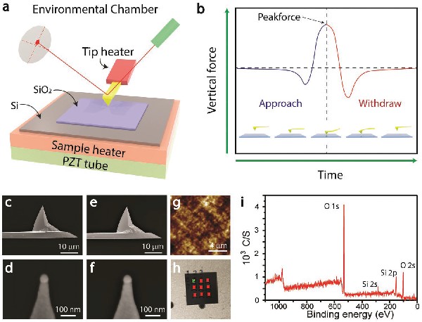 中科院纳米能源所王中林院士Adv. Mater. : 金属-电介质的温度对纳米级接触起电中电子转移的影响